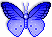 blue-butterfly