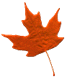 leaf-orange