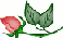 tinyrose